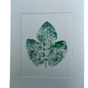 HOJA HIGUERA /MONOTYPE