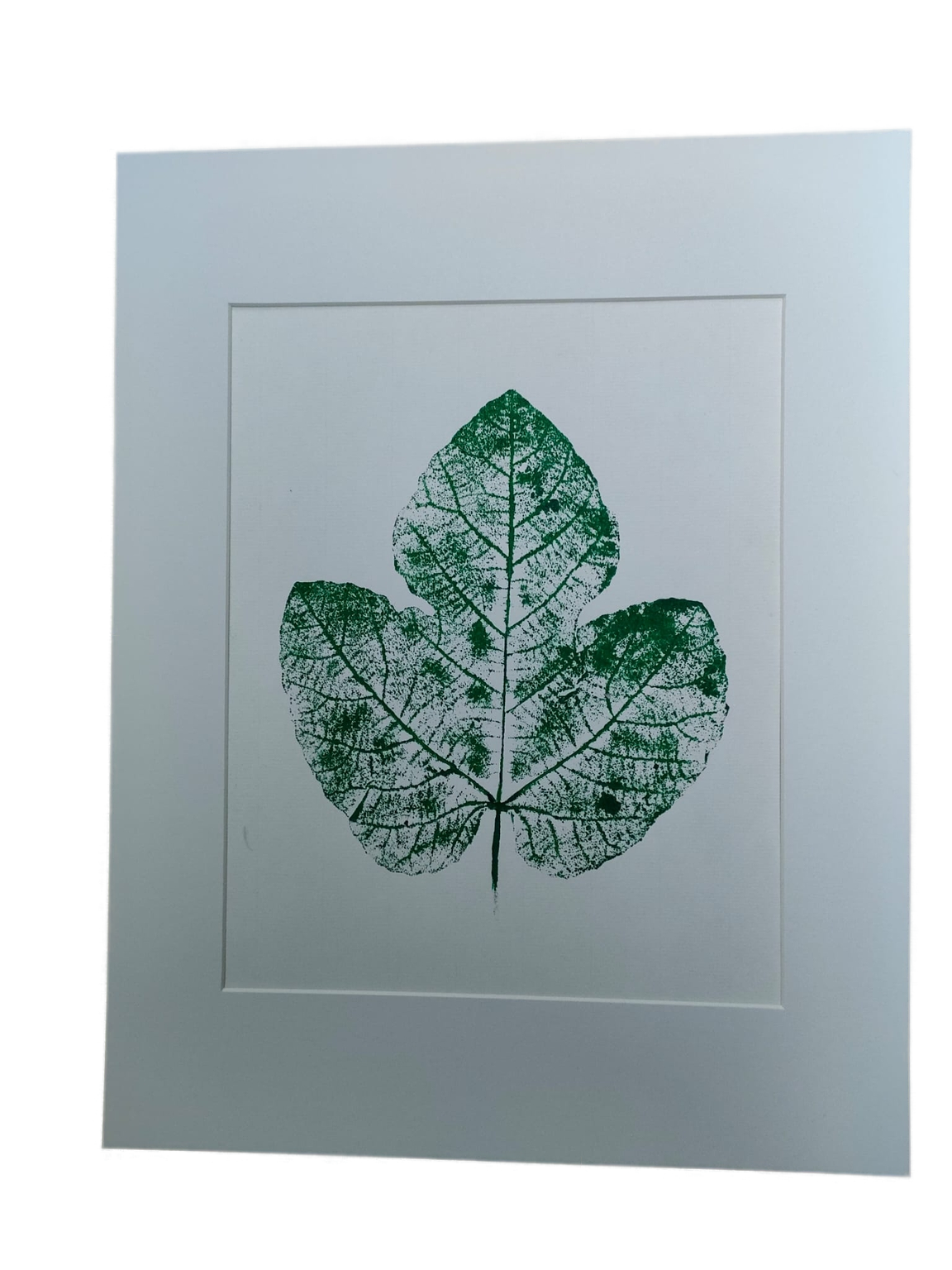 HOJA HIGUERA /MONOTYPE