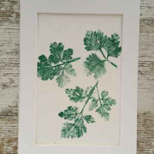 MONOTIPIA HOJA PEREJIL