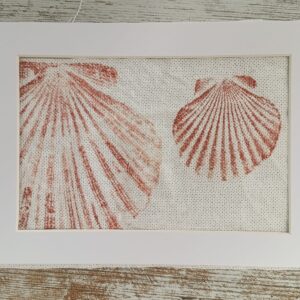 colección: MONOTIPIA CONCHAS MARINAS