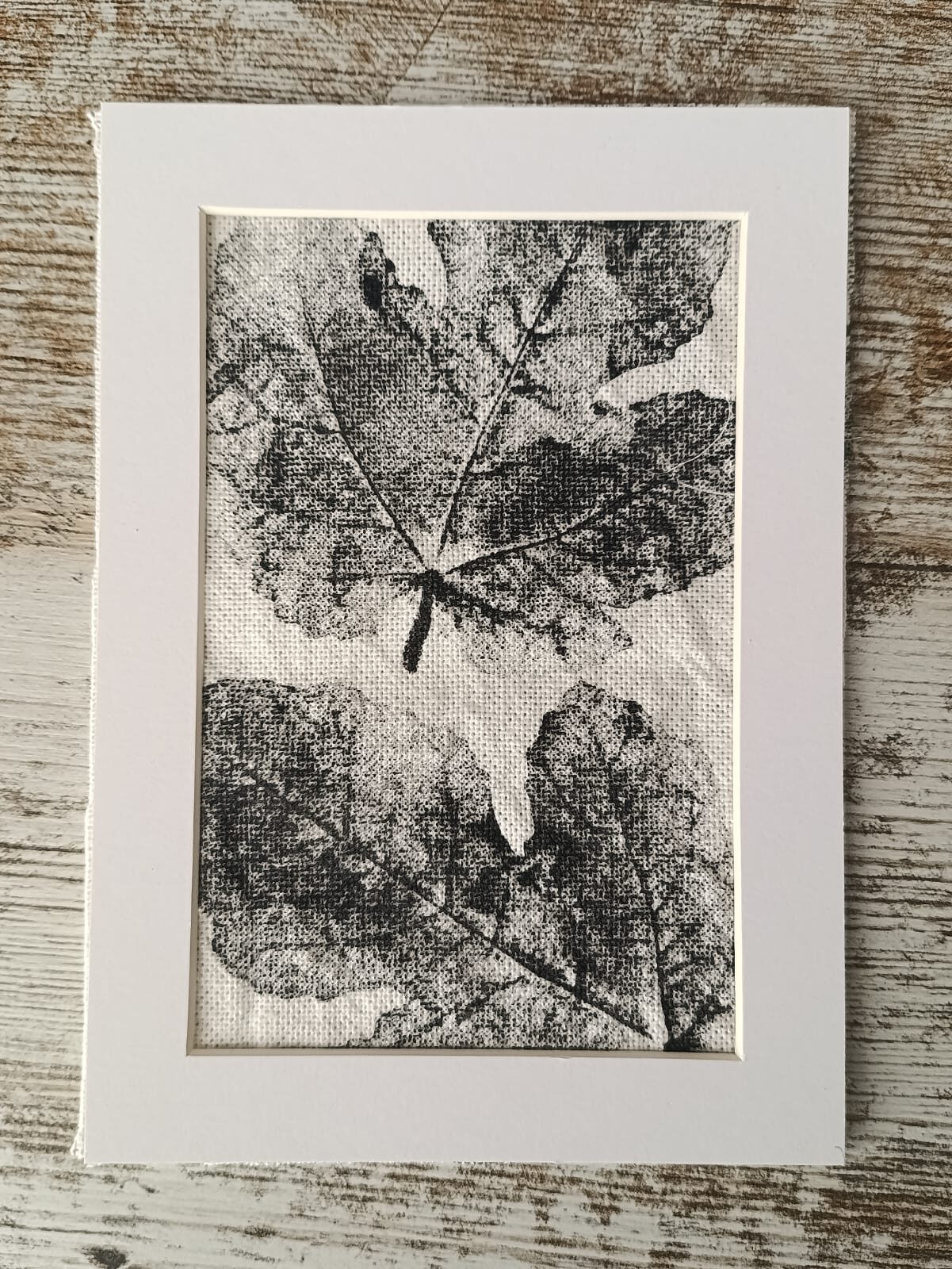 MONOTIPIA HOJA HIGUERA - Image 2