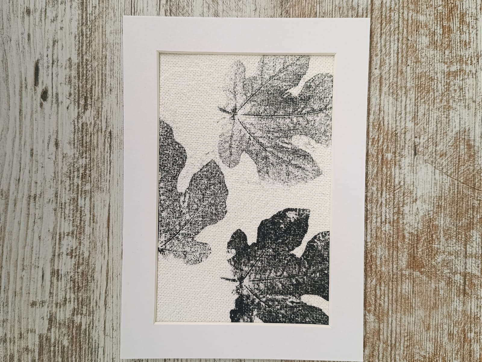 MONOTIPIA HOJA HIGUERA