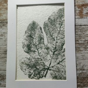 Colección: MONOTIPIA HOJAS