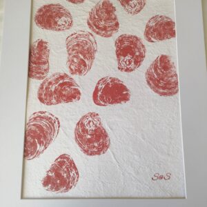 Cuadro Ostras color coral