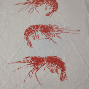 Cuadro Gambas. Gyotaku