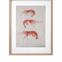 gyotaku gambas con marco