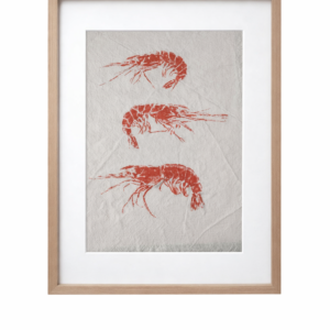 gyotaku gambas con marco