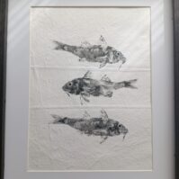 salmonetes