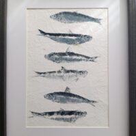 sardines fish